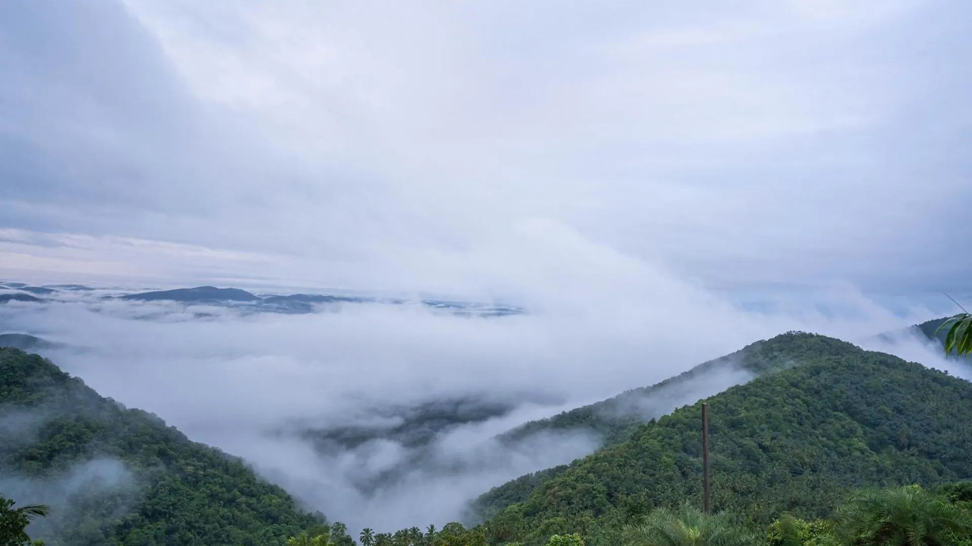 Mount Stratus Resort Vayalada Balussery