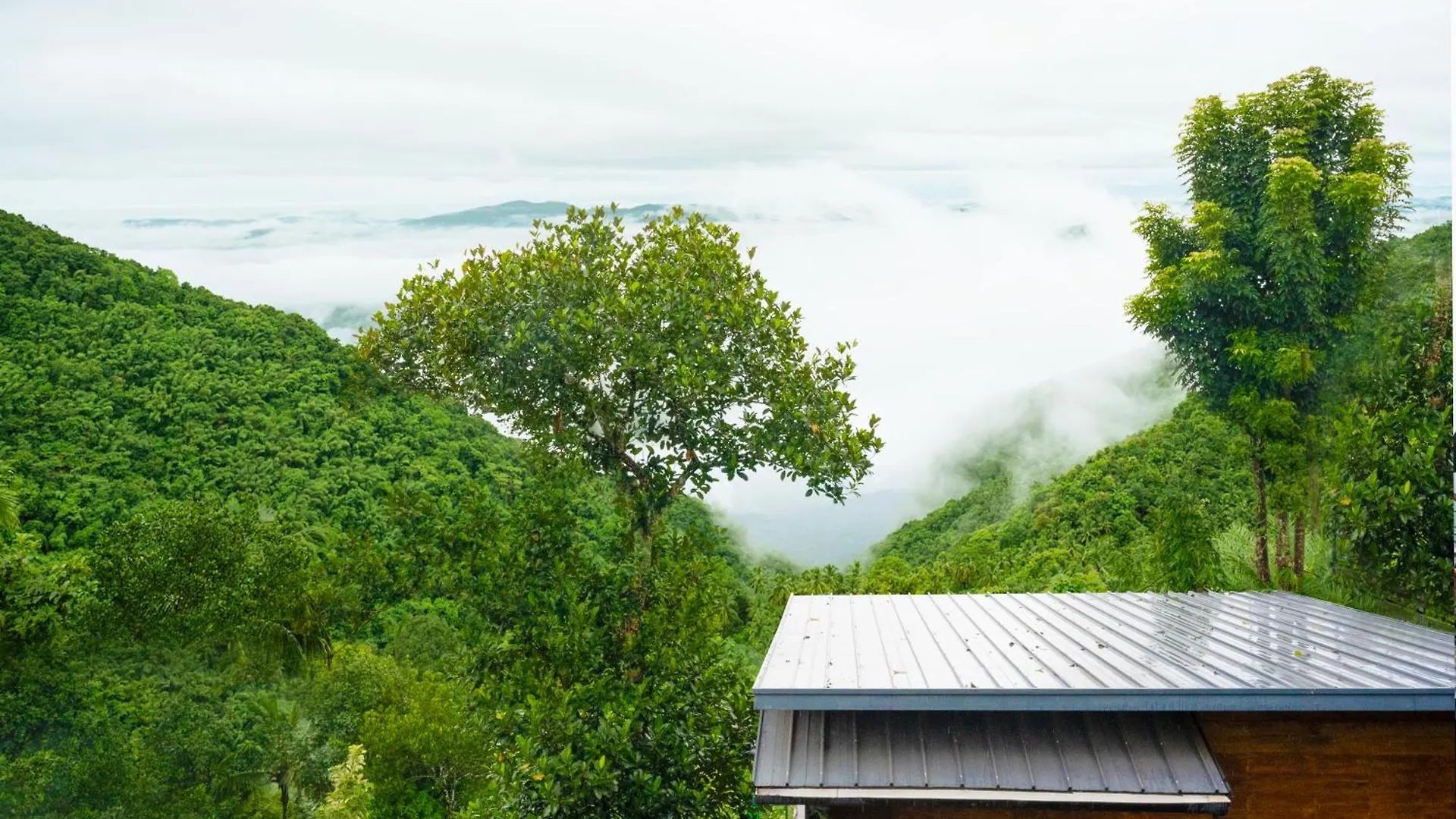 Mount Stratus Resort Vayalada Balussery India